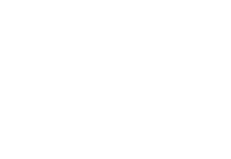 Full-Deal-Insualtion-Logo-White